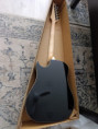 /album/chitarra-acustica-elettrificata-ibanez-alt50fa-rdb/whatsapp-image-2026-10-09-at-17-04-28-5-jpeg/